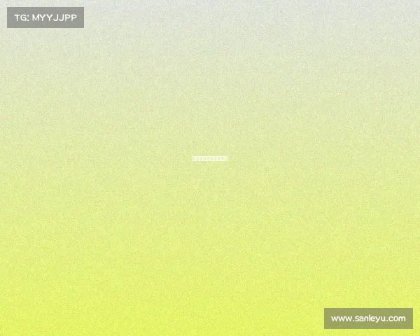 上海绿地申花最新引援